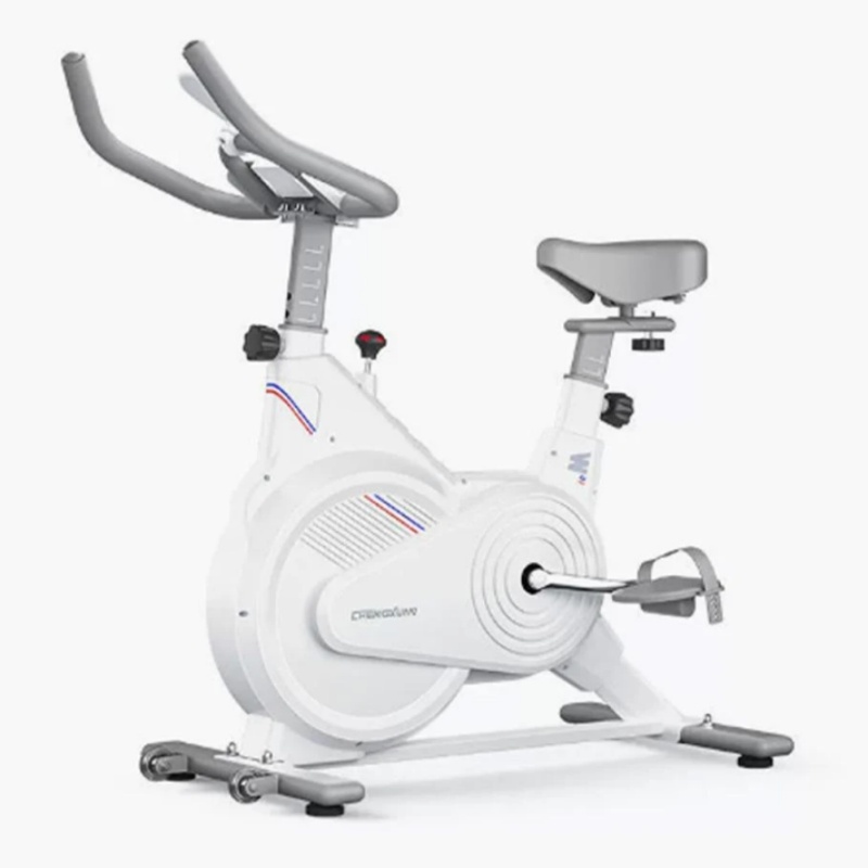 Home Gym No Equipment - Vélo de spinning d'intérieur, vélo d'exercice